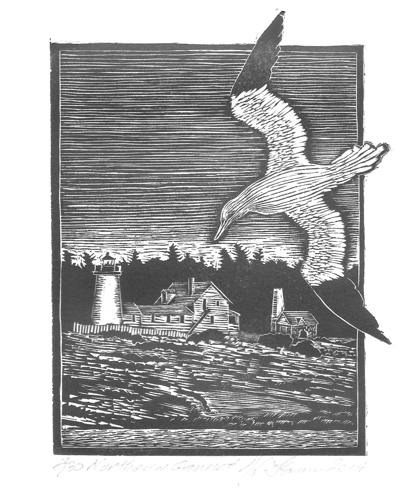 Northen Gannet relief engraving 2019